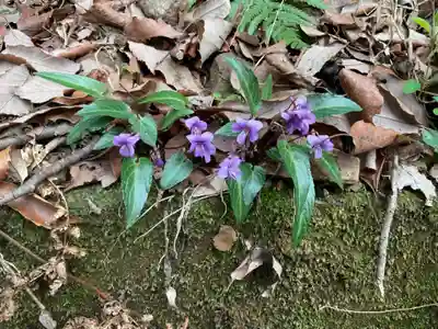 尾張冨士大宮浅間神社(愛知県)