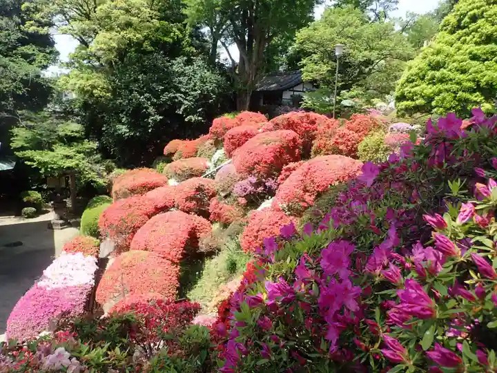 等覚院の御朱印