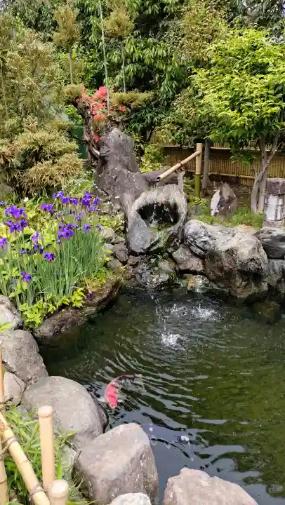 常性寺の{uncategorized: "未分類", other: "その他", undefined: "問題あり", building: "その他建物", grave: "お墓", sacred_gate: "鳥居", guardian: "狛犬", statue: "像", buddha: "仏像", history: "歴史", nature: "自然", garden: "庭園", animal: "動物", pagoda: "塔", temizu: "手水舎", mountain_gate: "山門・神門", sanctuary: "本殿・本堂", subordinate: "末社・摂社", art: "芸術", scenery: "景色", jizo: "地蔵", ema: "絵馬", goshuin: "御朱印", omikuji: "おみくじ", items: "授与品その他", amulet: "お守り", goshuincho: "御朱印帳", eats: "食事", festival: "お祭り", votive_dance: "神楽", shichigosan: "七五三参", wedding: "結婚式", experience: "体験その他", initially: "初詣", around: "周辺", anti_infection: "感染症対策"}