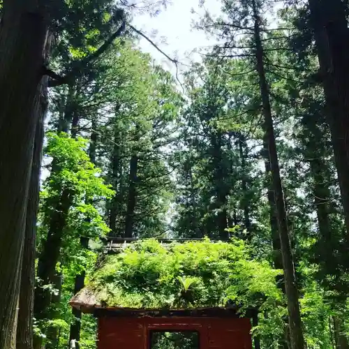 戸隠神社奥社(長野県)