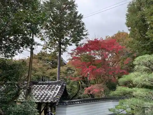 即宗院(京都府)