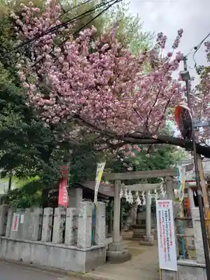 藤神稲荷神社の鳥居