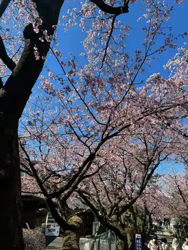 密藏院(埼玉県)