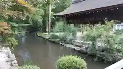 賀茂別雷神社（上賀茂神社）(京都府)