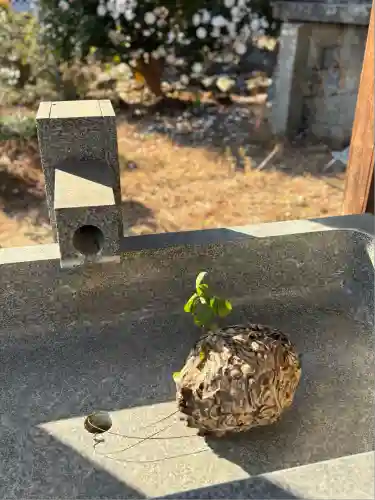 屏風ヶ浦　海岸寺/　御盥山不動坊(香川県)