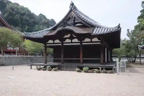 金剛寺(大阪府)