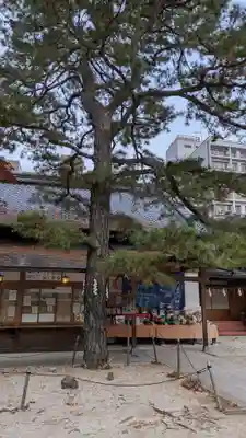 白峯神宮(京都府)