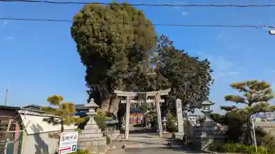 玉田神社(京都府)