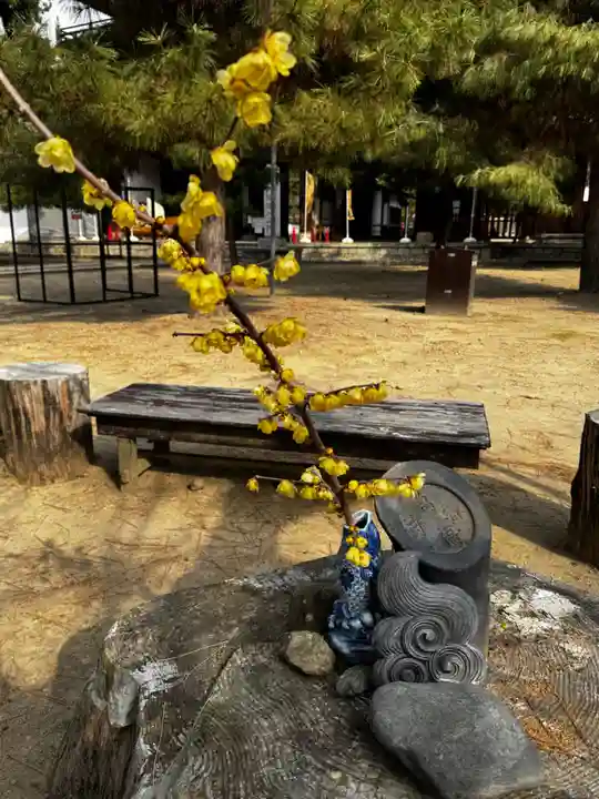 萬福寺(京都府)