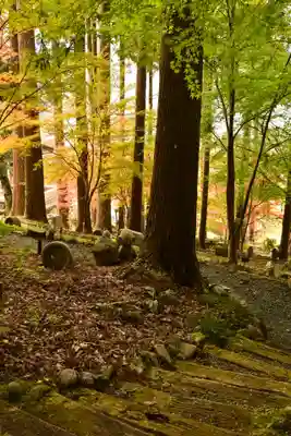 金剛寺(高知県)