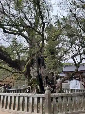 大山祇神社(愛媛県)