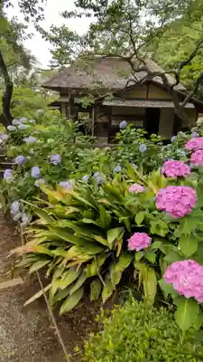 本牧神社(神奈川県)