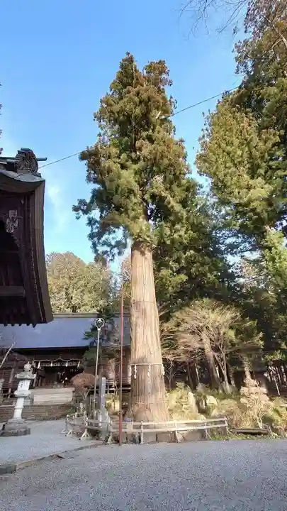 河口浅間神社のその他建物