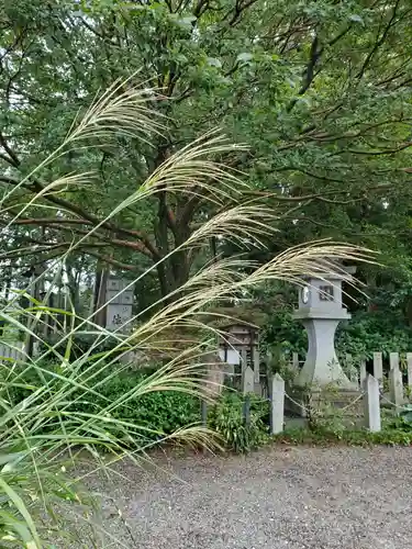 沙沙貴神社の自然
