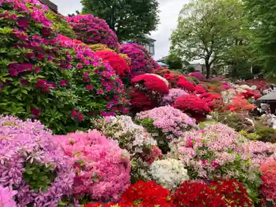 根津神社(東京都)