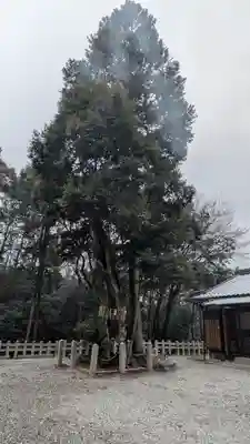 荒戸神社(滋賀県)