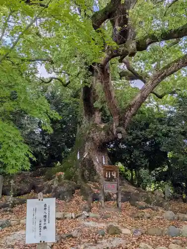 壺井八幡宮(大阪府)