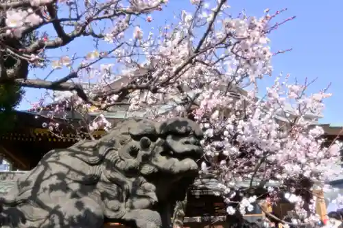 湯島天満宮の狛犬