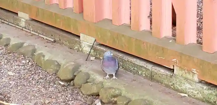 谷保天満宮(東京都)