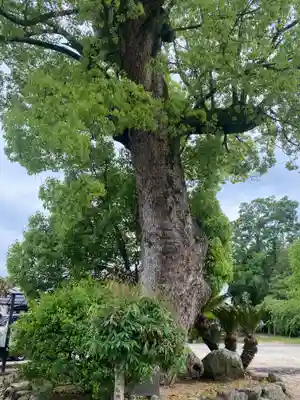 宝瓶院(大阪府)
