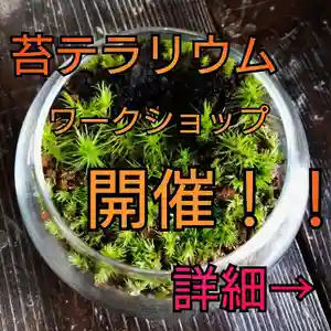 日蓮宗 総本山 塔頭 定林坊(じょうりんぼう)の体験その他 2021年06月23日(水)〜(2021年05月28日(金) 20時16分26秒投稿)