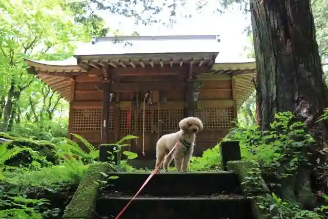 飯豊和気神社の動物