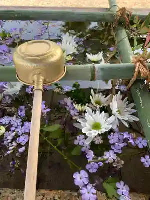 貴布禰神社(兵庫県)