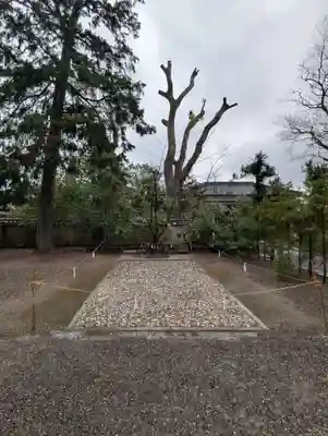 今宮神社(京都府)