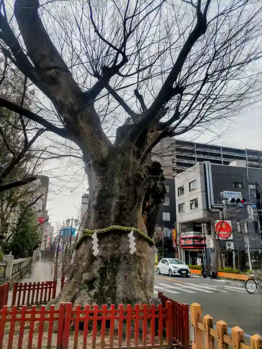 大國魂神社(東京都)