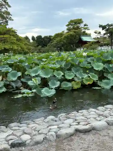 旗上弁財天社の{uncategorized: "未分類", other: "その他", undefined: "問題あり", building: "その他建物", grave: "お墓", sacred_gate: "鳥居", guardian: "狛犬", statue: "像", buddha: "仏像", history: "歴史", nature: "自然", garden: "庭園", animal: "動物", pagoda: "塔", temizu: "手水舎", mountain_gate: "山門・神門", sanctuary: "本殿・本堂", subordinate: "末社・摂社", art: "芸術", scenery: "景色", jizo: "地蔵", ema: "絵馬", goshuin: "御朱印", omikuji: "おみくじ", items: "授与品その他", amulet: "お守り", goshuincho: "御朱印帳", eats: "食事", festival: "お祭り", votive_dance: "神楽", shichigosan: "七五三参", wedding: "結婚式", experience: "体験その他", initially: "初詣", around: "周辺", anti_infection: "感染症対策"}