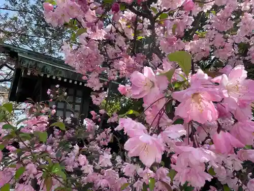 伊勢山皇大神宮の自然