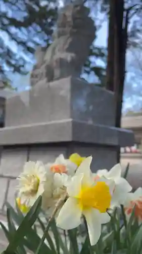 新琴似神社の自然