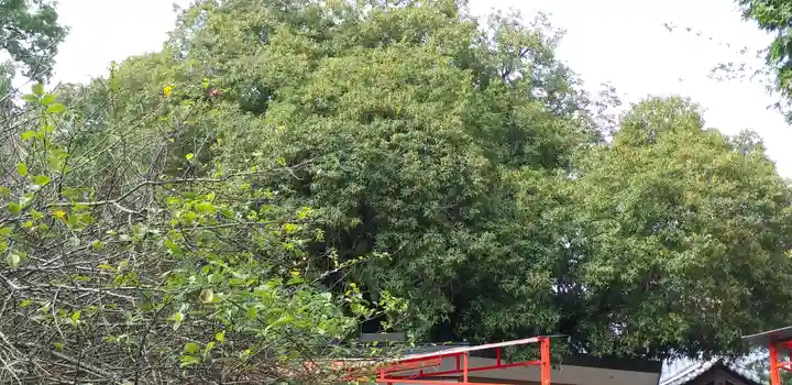 冠稲荷神社(群馬県)