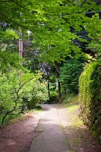 筑波山神社の自然