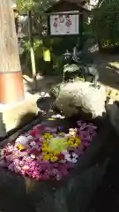 大鏑神社の手水