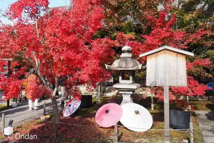 勝林寺(京都府)