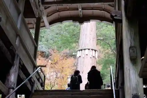 由岐神社(京都府)