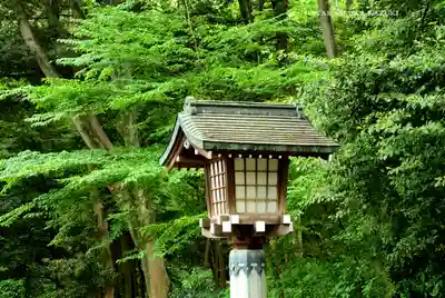明治神宮(東京都)