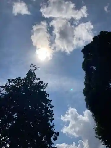 亀ケ池八幡宮の自然