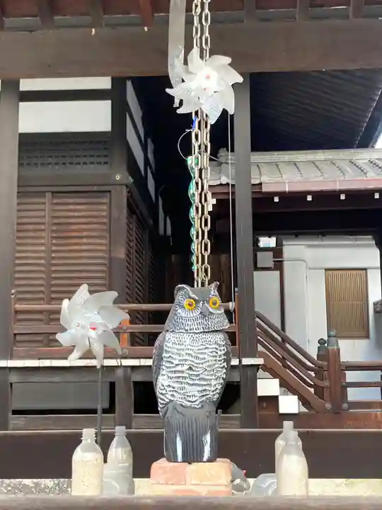 鶴満寺のその他建物