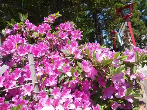 発寒神社の自然