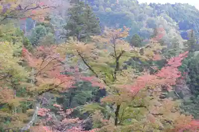 鞍馬寺(京都府)
