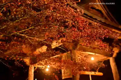 大山寺のその他建物