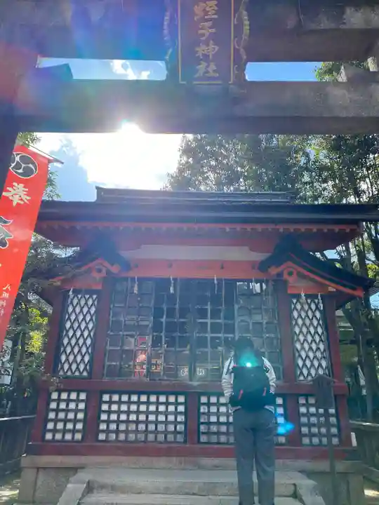 八坂神社(祇園さん)の本殿・本堂