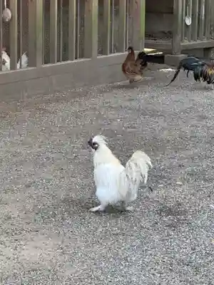 石上神宮(奈良県)