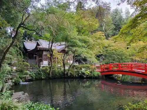 貫井神社の庭園