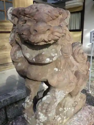 白山神社（小幡）の狛犬