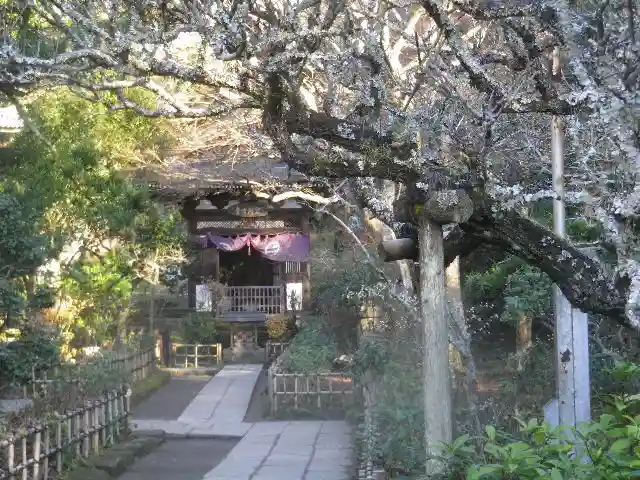 黄梅院(円覚寺塔頭)のその他建物