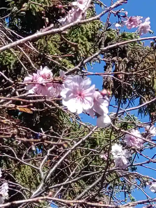 大沼神社の自然