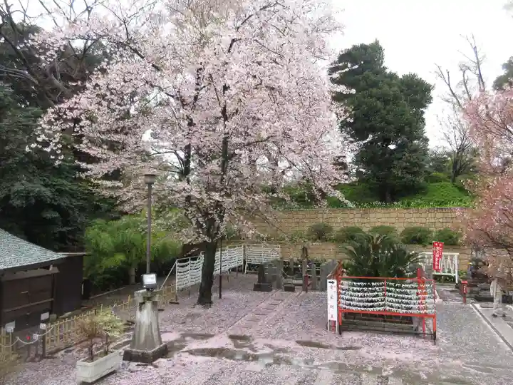 瀧泉寺(目黒不動尊)の自然
